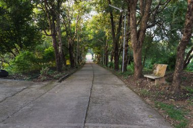 tepeden aşağı yol