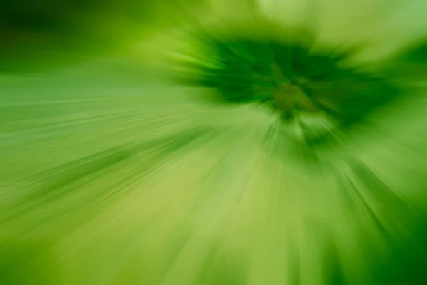 Bande de couleur verte mouvement radial flou abstrait — Photo