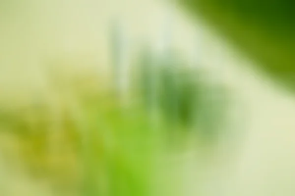 Groene kleur Toon abstract — Stockfoto