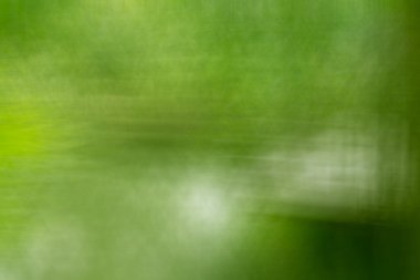 yeşil renk tonu abstrac