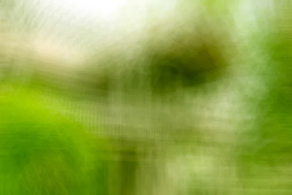 Colore verde tono abstrac — Foto Stock