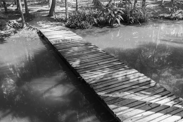 운하를 건너 작은 나무 다리 — 스톡 사진