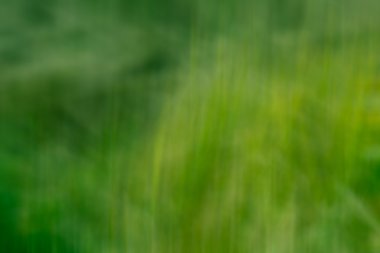 sarı, yeşil renk tonu resimde arka plan için