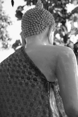 Beyaz Buda heykelinin arka yüzüne