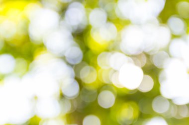 açık havada doğal bokeh arka planda sarı ve yeşil tonları