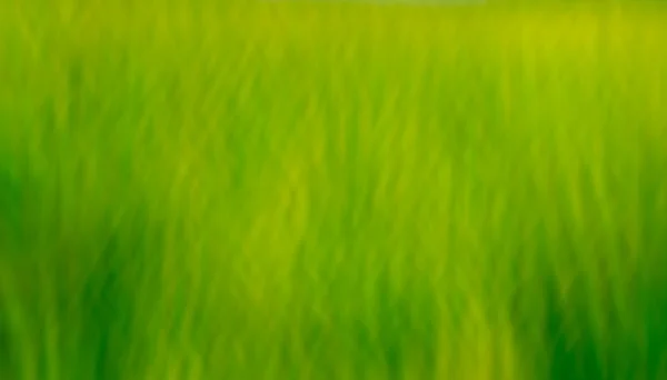 Amarillo, ilustración de tono de color verde para fondo abstracto — Foto de Stock