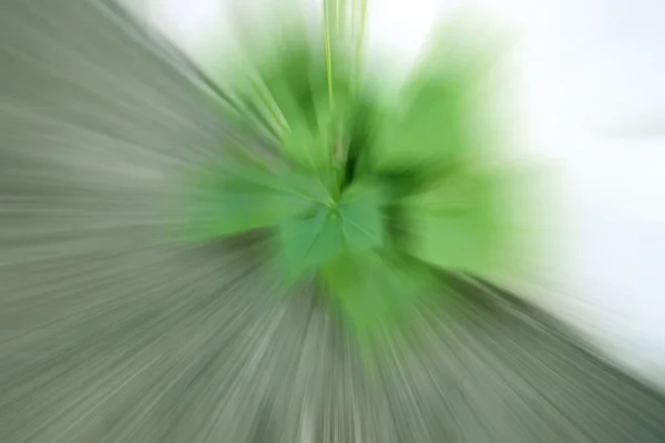 Grön färg tonar radiella rörelseoskärpa för abstrakt bakgrund — Stockfoto