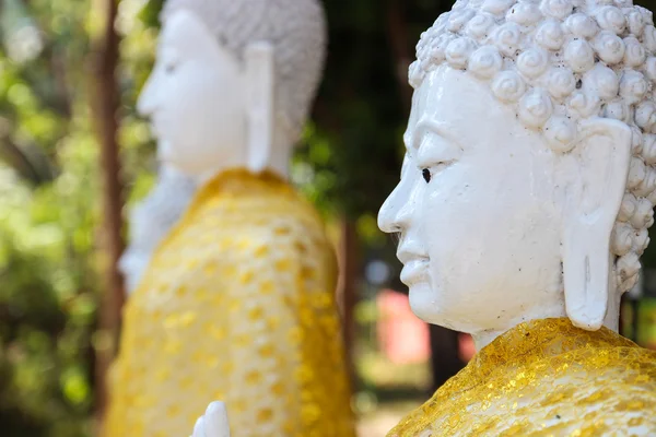 Left side of white buddha statue — Stock Photo, Image