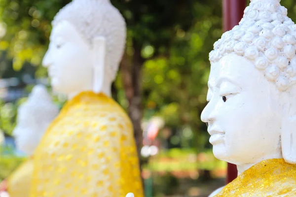 Lato sinistro della statua buddha bianca — Foto Stock