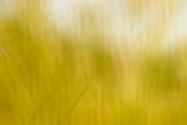 Gele kleur Toon illustratie voor abstracte achtergrond — Stockfoto