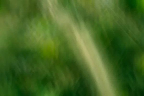 Illustration de ton de couleur verte pour fond abstrait — Photo