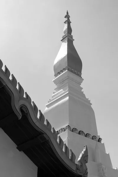 Pagoda budista blanca, blanco y negro —  Fotos de Stock