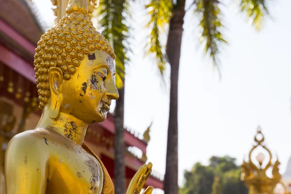 Estátua de buda dourada — Fotografia de Stock