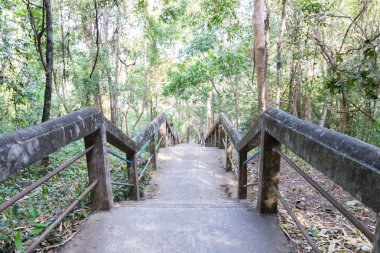 tepeden aşağı ve yukarı çıkmak için merdiven