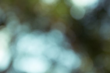 Açık havada doğal bokeh açık renkli, yeşil tonda vurgu