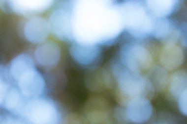 Açık havada doğal bokeh açık renkli, mavi tonda vurgu