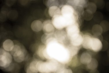 Açık havada doğal bokeh açık renkli, sarı tonda vurgu