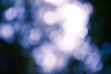 Açık havada doğal bokeh açık renkli, mor tonda vurgu 