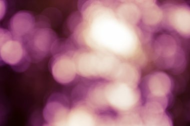 Açık havada doğal bokeh açık renkli, sarı tonda vurgu 