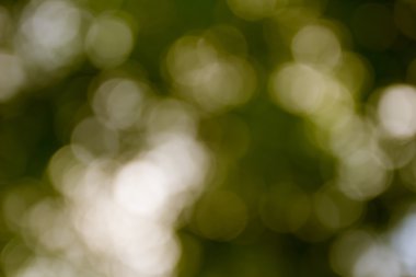 açık havada doğal bokeh ışık arka planda sarı renk tonu