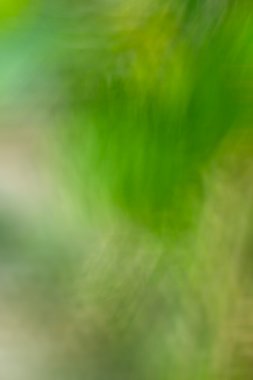 sarı, yeşil renk tonu resimde arka plan için