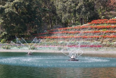 su birikintisi içinde dönen çeşme