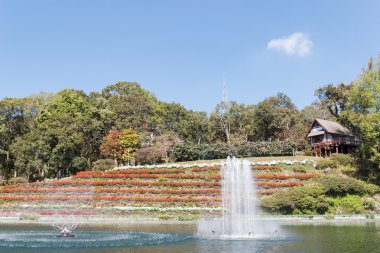 Gölün yakınlarındaki tepe üzerinde ahşap ev