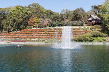 Gölün yakınlarındaki tepe üzerinde ahşap ev