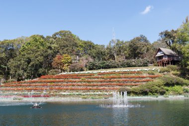 Gölün yakınlarındaki tepe üzerinde ahşap ev