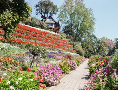 yolu flowerbed yanında