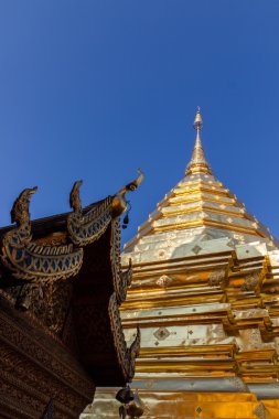 Asya golden pagoda köşk ile