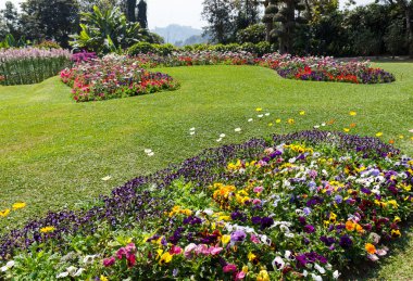 içinde belgili tanımlık Bahçe Dekorasyon flowerbed