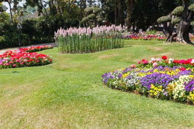 içinde belgili tanımlık Bahçe Dekorasyon flowerbed