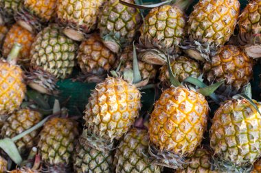 ananas raf Satılık