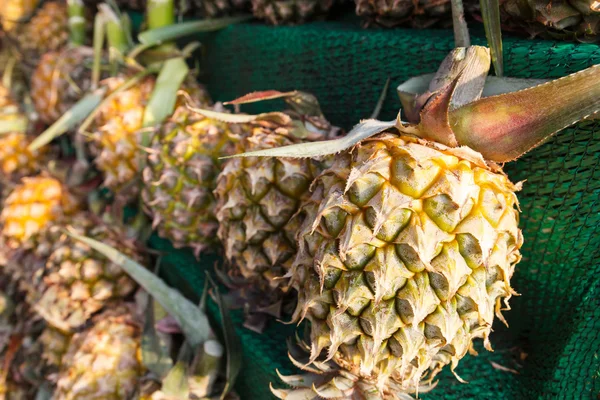 Ananas na polici na prodej — Stock fotografie