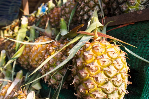 Ananas na polici na prodej — Stock fotografie