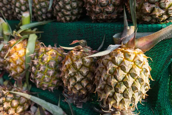 Pineapple on shelf for sale — Stock Photo, Image