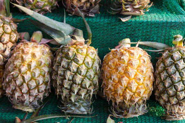 Pineapple on shelf for sale — Stock Photo, Image