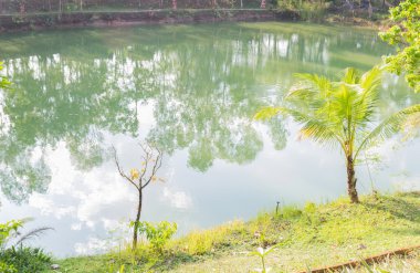 Bahçedeki gölet