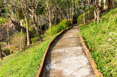 Bahçede yürüyüş yolu