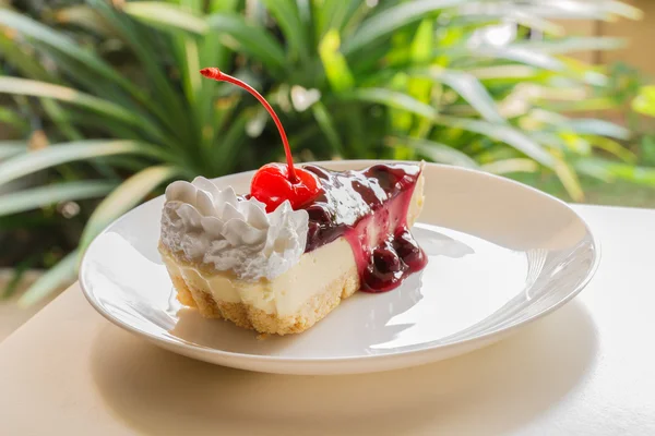 Blaubeerkäsekuchen mit Kirsche obendrauf — Stockfoto