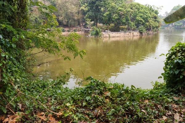 Les gens se reposent et nourrissent les poissons au bord du lac — Photo