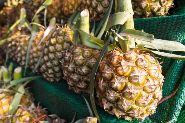 Pineapple on shelf for sale — Stock Photo, Image