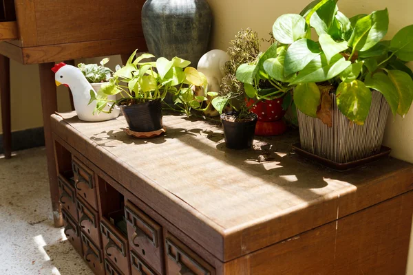 Decoración de la cocina con ollas y sartenes para colgar — Foto de