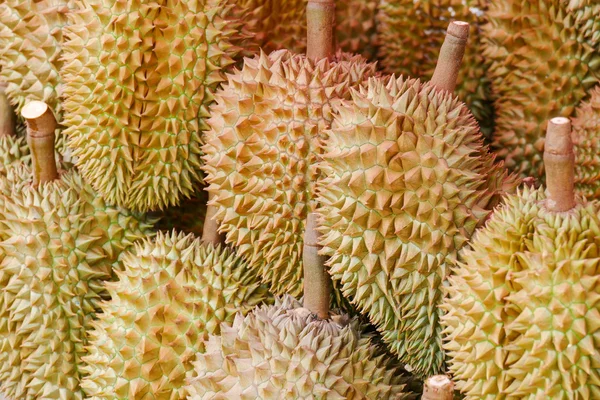 Durian ovoce na polici — Stock fotografie