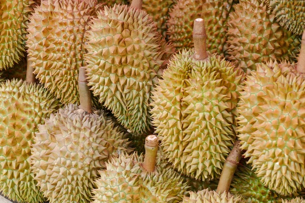 Durian ovoce na polici — Stock fotografie