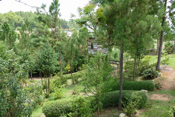 Maison en bois dans le jardin — Photo