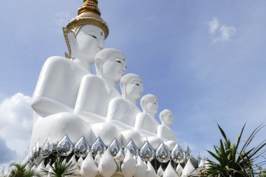 5 beyaz Buda heykeli sağ tarafında 