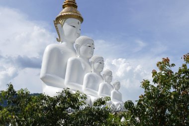 5 beyaz Buda heykeli sağ tarafında 