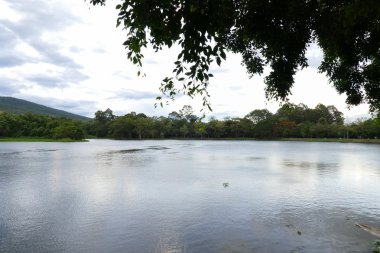 dağ ve Göl Manzaralı